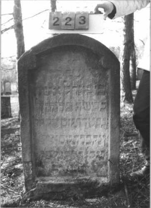 Grabstein 223 (Index: 99608947) Material: Sandstein Zustand: stark verwittert mit Textverlust Maße HxBxT: 116x64x15 cm Beschreibung: Stele mit Segmentbogenabschluß, Schriftfeld eingetieft, oben konkave Ecken: Grabstein 223