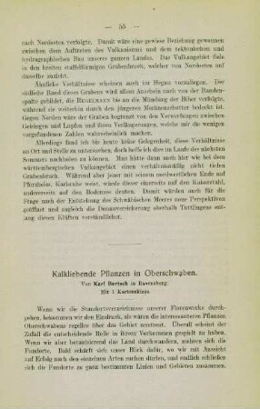 Kalkliebende Pflanzen in Oberschwaben