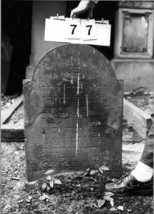 Grabstein 77 (Index: 100094766) Material: Sandstein Zustand: abgeblättert, verwittert, Textverlust Maße HxBxT: 78x54x6 cm Beschreibung: Stele, eingezogener Rundbogenabschluß: Grabstein 77