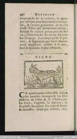 Tigre