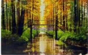 Herbststimmung im Spreewald