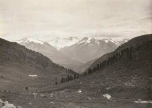 Zillertaler Alpen, westlicher Pinzgau. Wildgerlosgruppe vom Salzachjoch