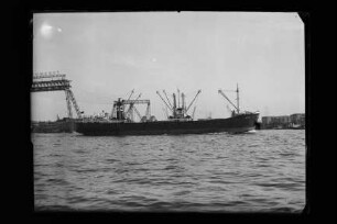 Pallas (1950)