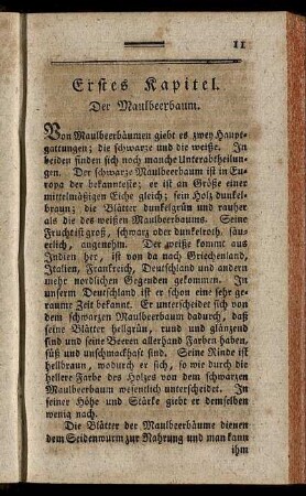 Erstes Kapitel. Der Maulbeerbaum.