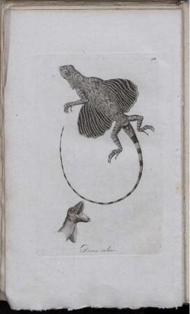 [Tab.] 98.