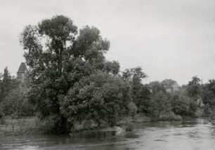 Großzschocher (von Brücke) 1 Woche nach Höchststand (18. Juli), Hochwasser Juli 1954
