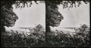 An der Ijssel bei De Steeg