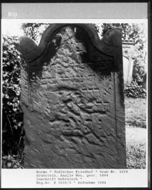 Grabstein von Amalie Neu (gestorben 1864)
