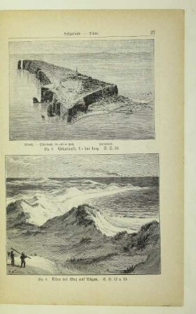 Düne bei Binz auf Rügen