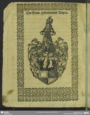 Der Stadt Hildesheimb Wapen