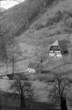 Schramberg-Hornberg: Schwarzwaldhaus an der Straße Schramberg-Hornberg, näher