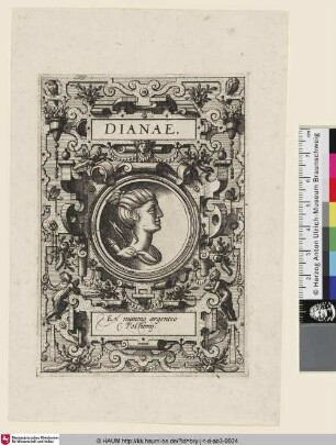Dianae