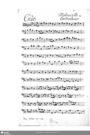 Violoncello e Contrabasso