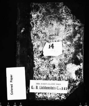 Gerichtshandelsbuch von Rödlitz, Bd. 1