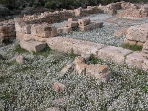 Grundrisse griechischer Häuser auf der Akropolis von Selinunt, ca. 500 v. Chr.