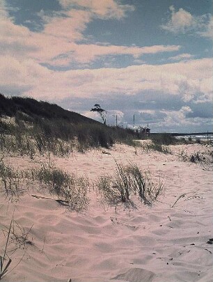 Darß, Blick über den Weststrand