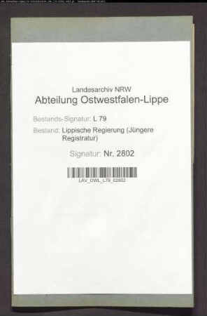Verschiedene Ortsstatute und Polizeiverordnungen im Amt Horn
