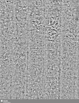 A / M = S.37/38
