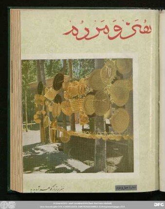 شمارۀ چهل و سوم [دورۀ جدید] [اردیبهشت ماه ۱۳٤٥]