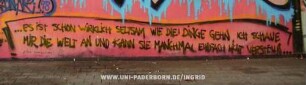 ...ES iSt SCHON WiRKLiCH SELTSAM WIE DIE DiNGE GEHN, ICH SCHAUE MiR DiE WELT AN UND KANN SIE MANCHMAL EINFACH NicHT VERSTEHN... ZiTAT BLUMENTOPF 16 METER 90
