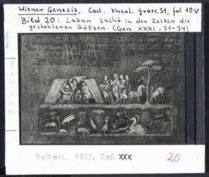 Wiener Genesis (Wien, Cod. theol. graec. 31), fol. 10v: LAban sucht in den Zelten die gestohlenen Götzen