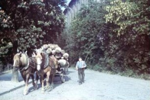 Holztransport