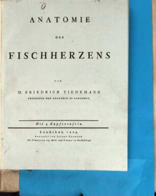 Anatomie des Fischherzens