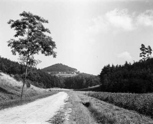 Blick zum Wilschtberg : Blick zum Wilschtberg (Vlhost/Tschechische Republik)