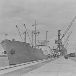 Urlaubsbilder Rostock 64 : Rostock. AK Handelsschiff M.V. Tamar im Hafen