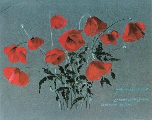 unbenannt [Studienblatt: Klatschmohn]