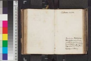 Bünau, Rudolph von; Blatt 36