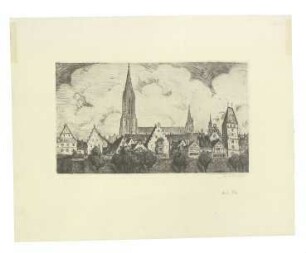 Ulm von Süden. Teilansicht Donaufront 1947