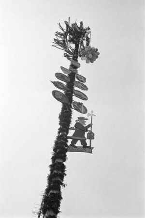 Maibaum der Arbeitsgemeinschaft Bulacher Vereine