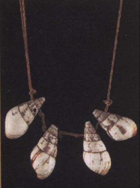 Necklace made from snail shells