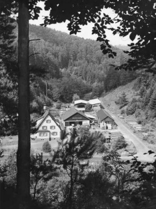 Sägewerk