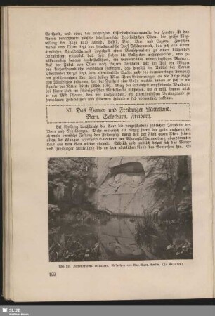 XI. Das Berner und Freiburger Mittelland. Bern, Solothurn, Freiburg