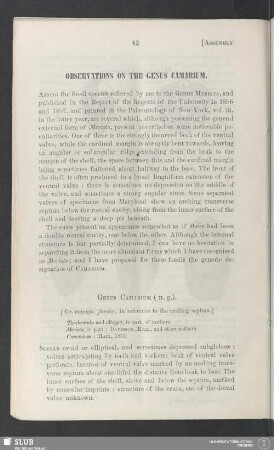 Observations on the genus Camarium