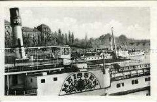 Dampfer der "Weißen Flotte" in Dresden