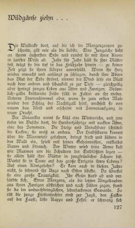 127 Wildgänse ziehn...
