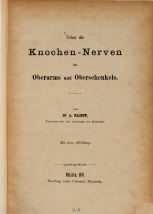 Ueber die Knochen-Nerven des Oberarms und Oberschenkels : Von Dr. A. Rauber. Mit einer Abbildung