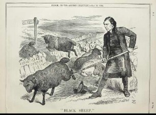 "Black sheep"