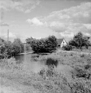 Teich: dahinter Landstraße und Wohnhaus zwischen Bäumen