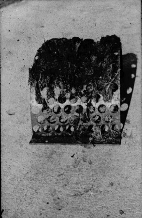 Fotografie: Gülle- und Entmistungstechnik, Gülleausbringung, Gülleverschlauchung, Sieb, Festmist, Güllemixer