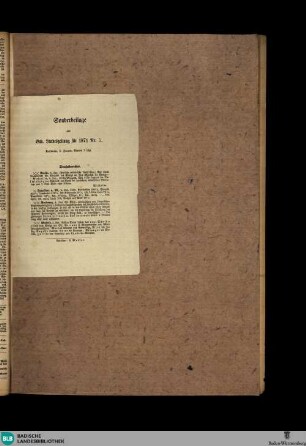 Badische Landes-Zeitung, Sonderbeilage