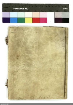 Friedrich von Babenhausen, Kantor und Kanoniker der Kollegiatkirche St. Maria in Wetzlar, lässt mehrere Urkunden transsumieren