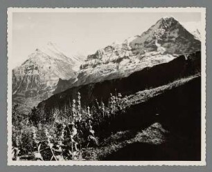Schynnige Platte