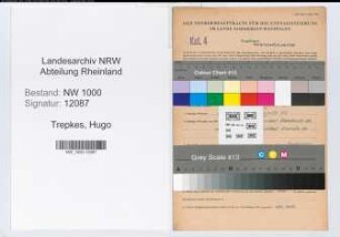 Entnazifizierung Hugo Trepkes, geb. 15.12.1898 (Telegrafenbetriebswart)