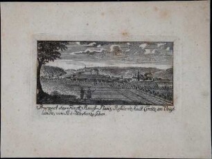 Prospekt der Graefl. Reuss. Plauis. Residentstadt Greitz im Voigtlande, von Süd-West anzusehen