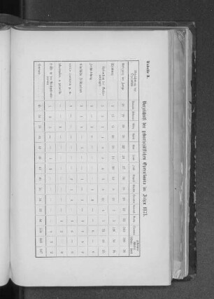 Tabelle 3. Verzeichniß der geburtshülflichen Operationen im Jahre 1873.
