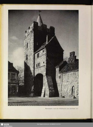 Marientor, von der Stadtseite aus gesehen (72)